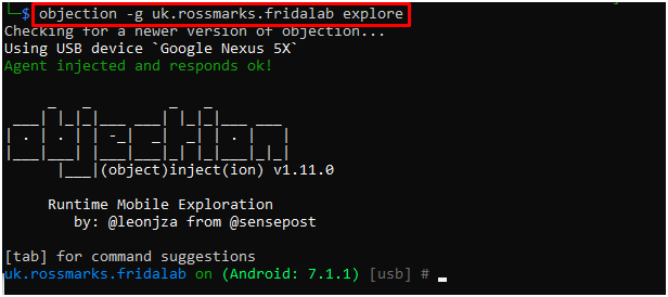 fridalab-explore