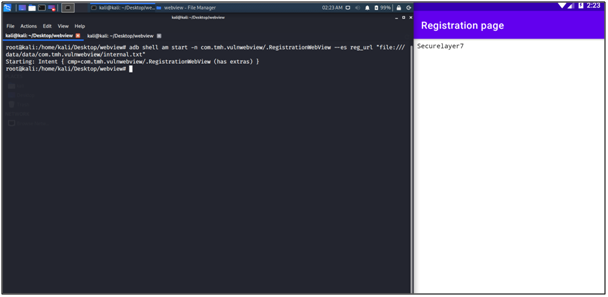 vulwebview/