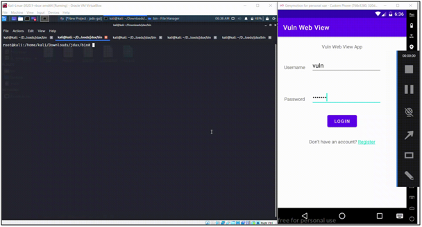 vulnwebview