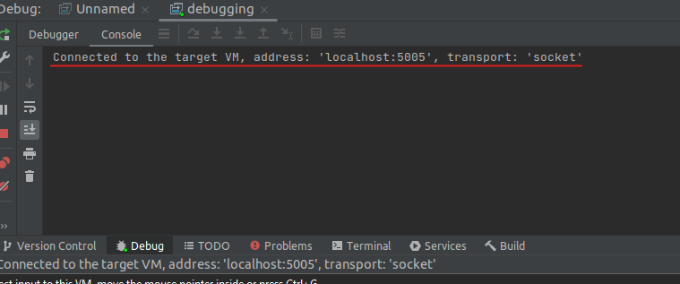 Adobe Coldfusion Debugging Connected