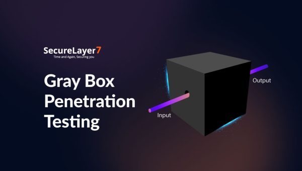 Gray Box Penetration Testing: The Essential Guide