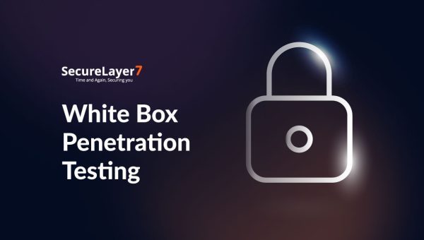 All You Need to Know about White Box Penetration Testing
