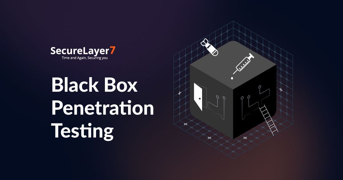 A Brief Guide to Black Box Penetration Testing 