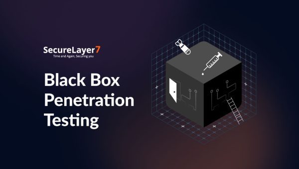 A Brief Guide to Black Box Penetration Testing 