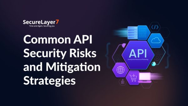 Common API Security Risks and Mitigation Strategies
