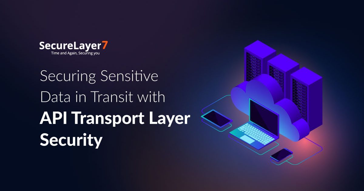 Securing Sensitive Data in Transit with API Transport Layer Security